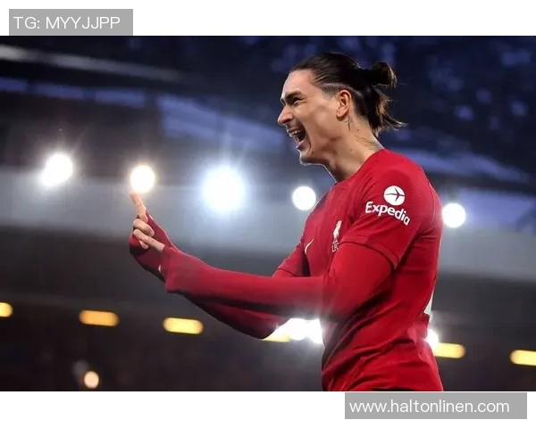 205厘米足球明星的传奇之路与他在绿茵场上的辉煌成就 205厘米足球明星的传奇之路与他在绿茵场上的辉煌成就