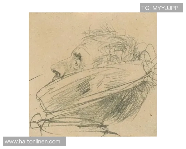 全球足球巨星的风采与传奇人生素描解析