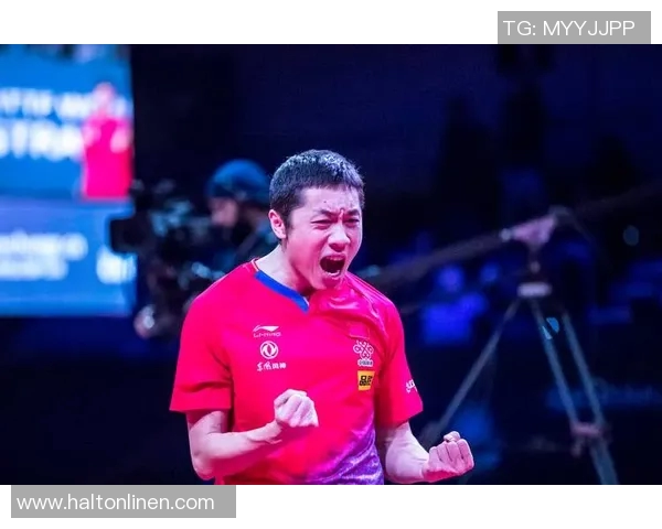 北京乒乓球队在总决赛积分榜上以61分稳居第一名展现强劲实力