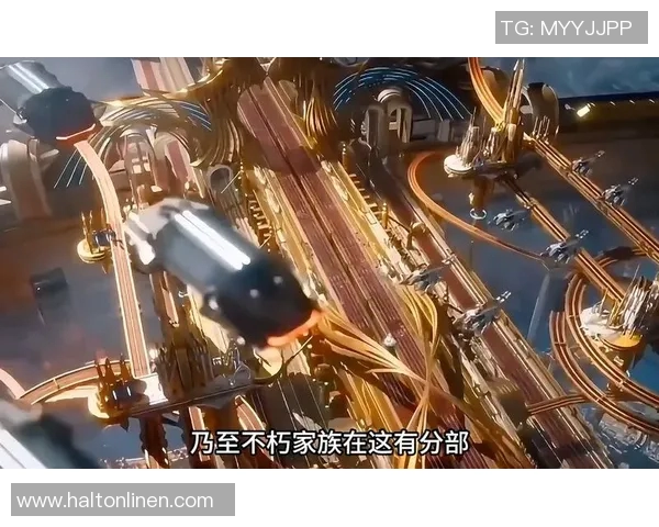 广州排球队的崛起之路欧锦赛背后的奋斗与荣耀