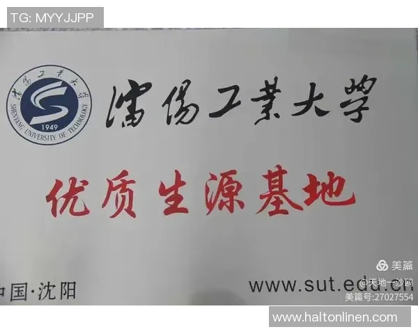 武汉乒乓球队的辉煌征程与冠军赛背后的奋斗故事 武汉乒乓球队的辉煌征程与冠军赛背后的奋斗故事