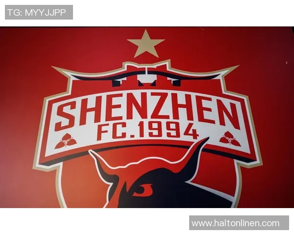 深圳羽毛球队崛起之路全国锦标赛特别报道见证成长与辉煌