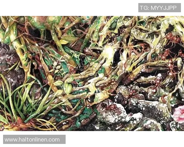 素描色彩交织的足球明星瞬间展现运动之美与激情 素描色彩交织的足球明星瞬间展现运动之美与激情