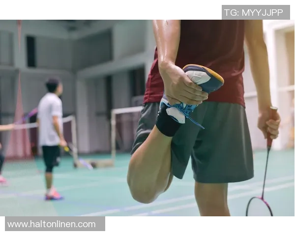 羽毛球防守艺术:深入解析杭州羽毛球队的战术与技巧 羽毛球防守艺术:深入解析杭州羽毛球队的战术与技巧