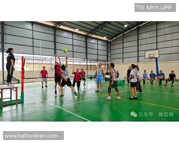 重庆排球队选拔赛精彩点评团队配合与战术执行的完美结合