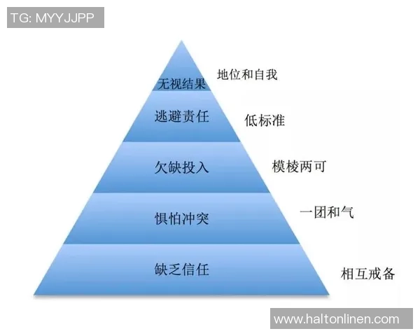 重庆排球队团队协作表现的数据分析与提升策略探讨 重庆排球队团队协作表现的数据分析与提升策略探讨