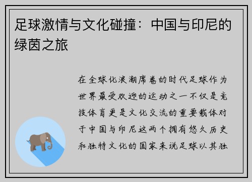足球激情与文化碰撞：中国与印尼的绿茵之旅