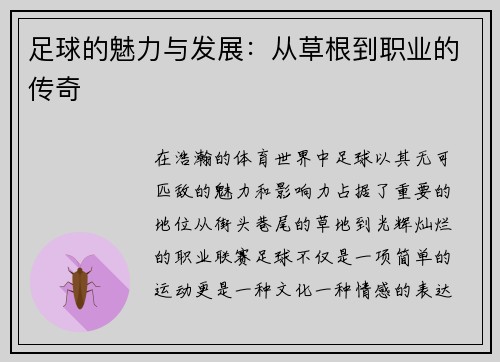 足球的魅力与发展：从草根到职业的传奇