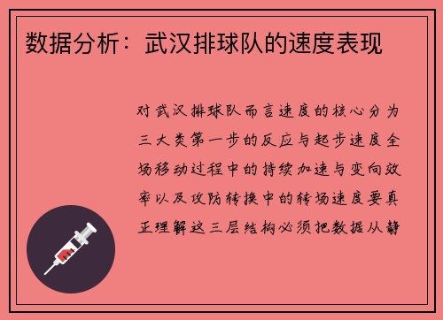 数据分析：武汉排球队的速度表现