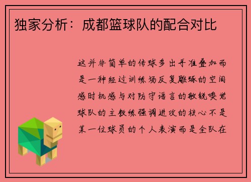 独家分析：成都篮球队的配合对比