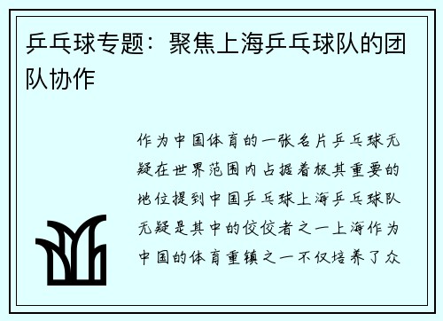 乒乓球专题：聚焦上海乒乓球队的团队协作