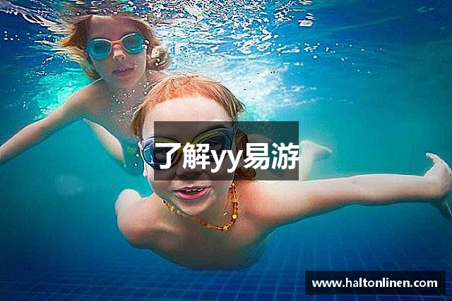 了解yy易游